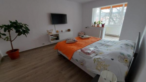 Apartament spatios in Brasov